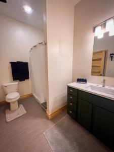 ElkaderGoldfinch Suites的浴室配有卫生间、盥洗盆和淋浴。