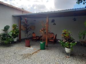 伊基托斯Casa Grande的庭院里种植了盆栽植物,配有桌椅
