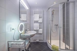 特洛普拉赫歇尔布劳尔公寓的带淋浴、盥洗盆和镜子的浴室
