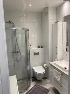 莱茵豪森Rhein Appartements的带淋浴、卫生间和盥洗盆的浴室