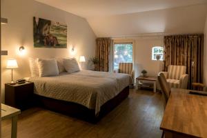 泽伊德拉伦Hotel B&B Hoeve de Vredenhof的酒店客房配有一张床铺和一张桌子。