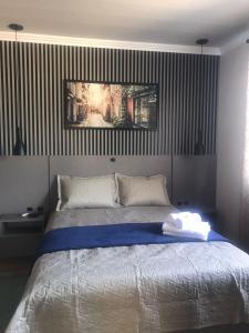 波梅罗迪Pousada Kaki Haus的一间卧室配有一张壁画床
