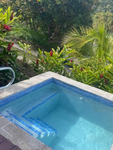 ChoiseulMontete Cottages的庭院内一个蓝色瓷砖的游泳池