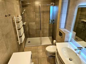 班斯卡 - 什佳夫尼察UV Apartmány的带淋浴、卫生间和盥洗盆的浴室