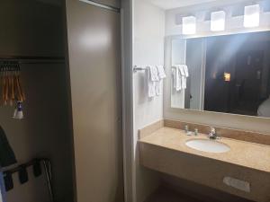 弗吉尼亚海滩贝斯特韦斯特中心酒店的一间带水槽和镜子的浴室