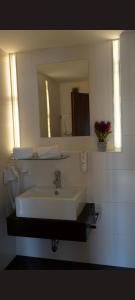 灵斯海姆Self CheckIn Hotel Heckenrose Lorin的浴室设有白色水槽和镜子