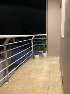 圣罗莎Complejo Pampa 2的阳台拥有两株盆栽植物,享有海景