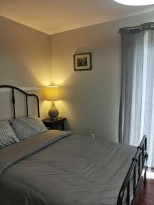 卡尔加里Lily room near golf and banff costco newly renovated queen size bed Single bathroom sofa TV的一间卧室配有床、灯和窗户