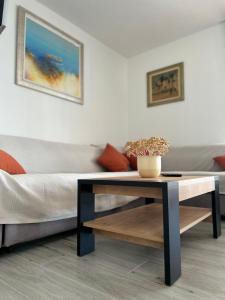 斯拉汀Apartment Rovci 1的客厅配有沙发和桌子