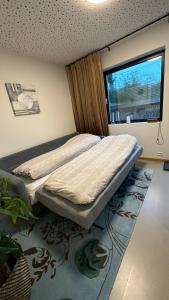 斯塔万格Modern and comfortable apartment in attractive neighborhood的一间卧室设有床、窗户和地毯。