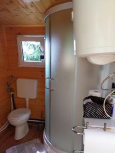 MutaGlamping hišice Orlič的一间带卫生间和窗户的小浴室