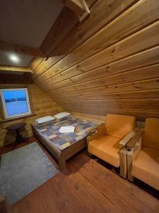 拉兹迪亚伊Gintaro pirtelė的小木屋内的一个房间,配有一张床和一把椅子