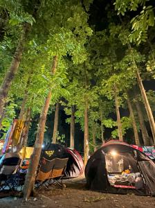 美浓美浓德旺山庄 的树林里的一组帐篷