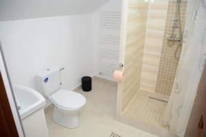 耶乌德Casa pintioi的白色的浴室设有卫生间和淋浴。