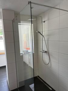 陶普利茨Appartements-Restaurant Schwaiger的浴室里设有玻璃门淋浴