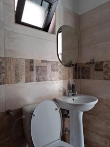 科斯蒂内什蒂Luna的一间带卫生间、水槽和镜子的浴室