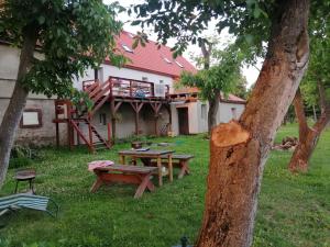 PieszyceAgroturystyka u podnóża Gór Sowich的后院设有野餐桌和甲板