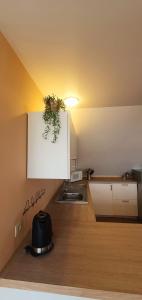 CustinneLa Maison du Sabotier的厨房配有水槽和墙上的盆栽植物