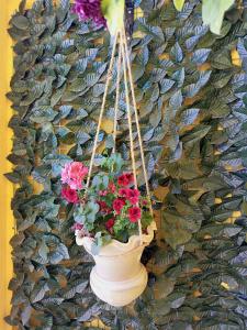 马达巴Mariam Hotel的花盆挂在墙上,花朵插在里面