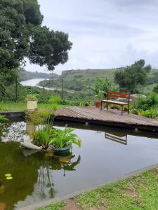 爱德华港Umtamvuna View Cabanas的坐在池塘上的木桥上的长凳