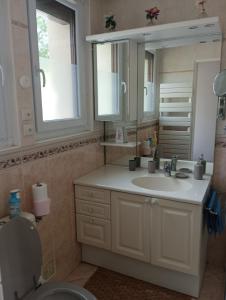 普罗万La rose de Provins的一间带水槽、镜子和卫生间的浴室