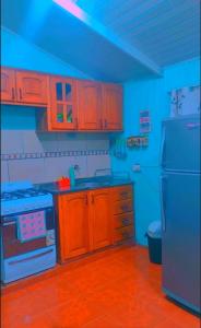 伊瓜苏港Cabaña Teresita的厨房配有木制橱柜和蓝色天花板