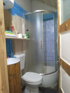 普拉夫Isov Ranch的一间带卫生间和淋浴的小浴室