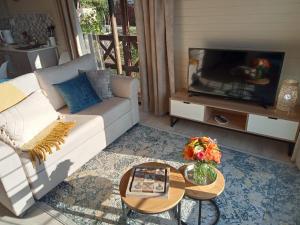 德尔斯特鲁姆Cinnamon & Sage Country Cabins的带沙发和电视的客厅