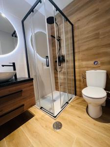 阿尔巴塞特Apartamentos TriBeca Centro II的一间带卫生间和玻璃淋浴间的浴室