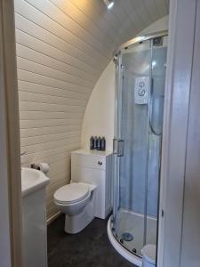 纽基The Travellers Rest的白色的浴室设有卫生间和淋浴。