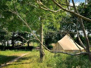 代因泽't Schaaphof Tent en Ontbijt的帐篷,位于草地上,靠近一些树木
