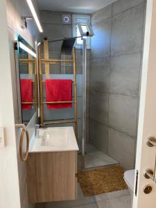波利斯Spitaki的一间带水槽和淋浴的浴室