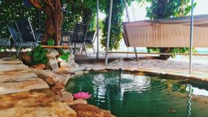 柳布什基Estate - Villa Discovery的庭院里一个带喷泉的小池塘