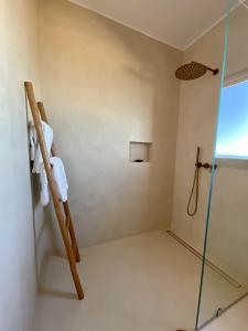 贝岛Maison Ylang Dive Center的一间带梯子和淋浴的浴室