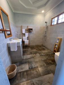 卡拉图Heart and Soul Lodge的一间带水槽、卫生间和淋浴的浴室