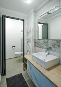 科莫Como per Voi的一间带水槽、卫生间和镜子的浴室