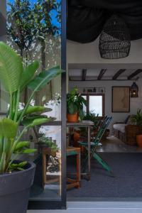 滨海托萨Hostal Boutique Es Menut的一间种植了盆栽植物的房间和一张桌子