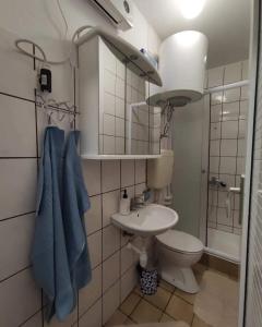 诺维·维诺多尔斯基Aretha apartman i sobe的一间带卫生间和水槽的小浴室