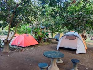 GerungGecko Tropical inn的两顶帐篷和一张桌子