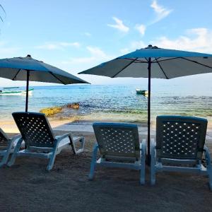 布兰卡滩Playa Tortuga Cabaña的海滩上的两把椅子和一把遮阳伞