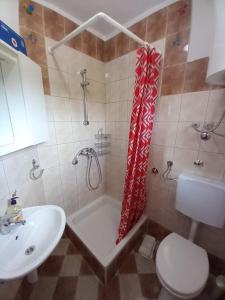 尼库加姆Apartments Belvedere - A2的带淋浴、盥洗盆和卫生间的浴室