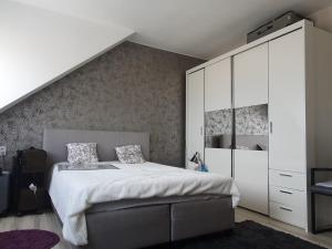 米什科尔茨Green Dream Apartment Szaunával的一间卧室配有床和白色橱柜