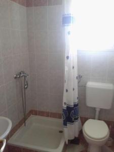 尼库加姆Apartments Belvedere - A3的一间带卫生间和淋浴帘的浴室