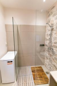 伊兹拉Ydor apartment的浴室里设有玻璃门淋浴