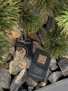 布克维Budz Карпати的两张卡片坐在一堆植物堆的岩石上