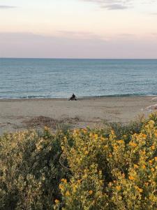 圣西普里安Logement plage的坐在海边的人