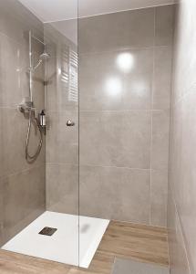 格利维采Wygodne Pokoje H114的浴室里设有玻璃门淋浴
