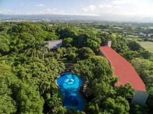 库埃纳瓦卡Sumiya Cuernavaca的享有森林中一座带游泳池的房屋的空中景致