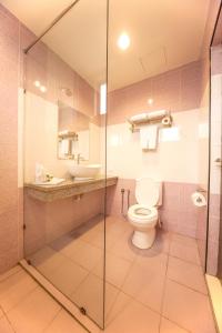 新山泰行政酒店的一间带卫生间和水槽的浴室