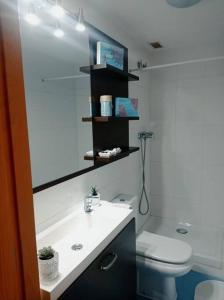 韦斯卡Acogedor apartamento con piscina y garaje的浴室配有白色水槽和卫生间。